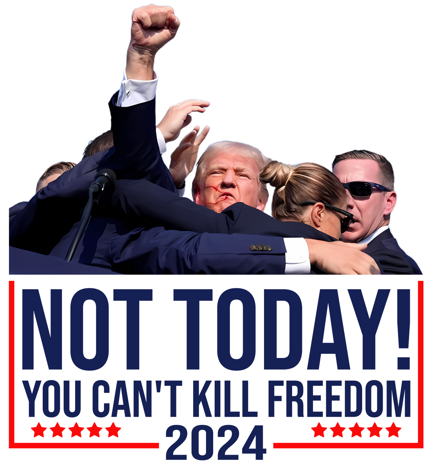 Trump heat transfer, no shirt