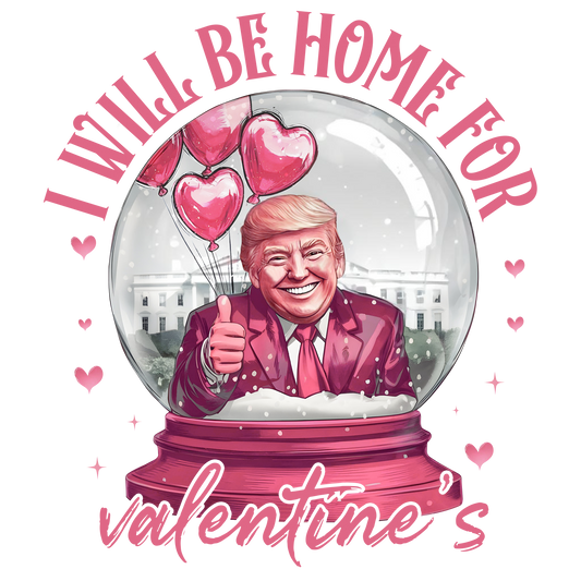 Trump, San Valentín, transferencia de calor, prensa y despega, sin camiseta, hecho a pedido