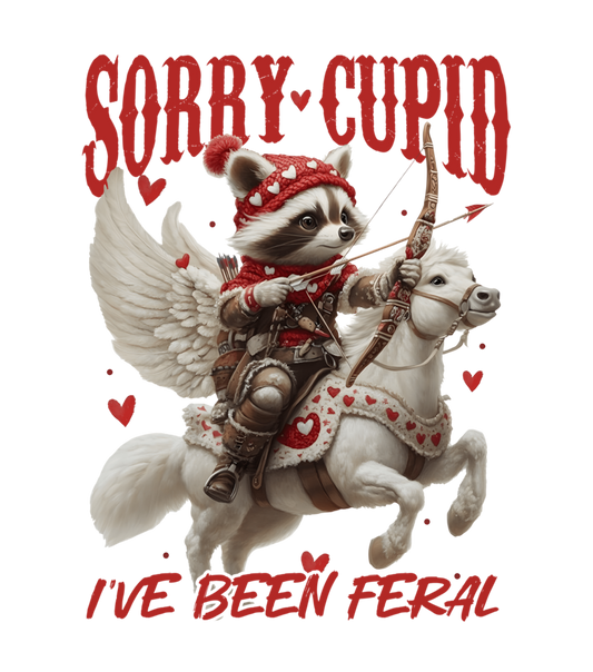 Sorry cupid, valentine, heat transfer, press and peel, no shirt, made to order