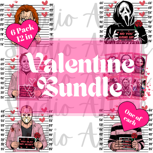 Six pack bundle, Valentine, heat transfer, press and peel, no shirt, made to order