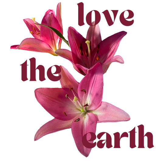 Quote flower, heat transfer, press and peel, no shirt, made to order