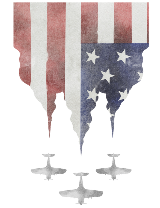 Flag, Plane, Press-ready, Transfer only, MTO