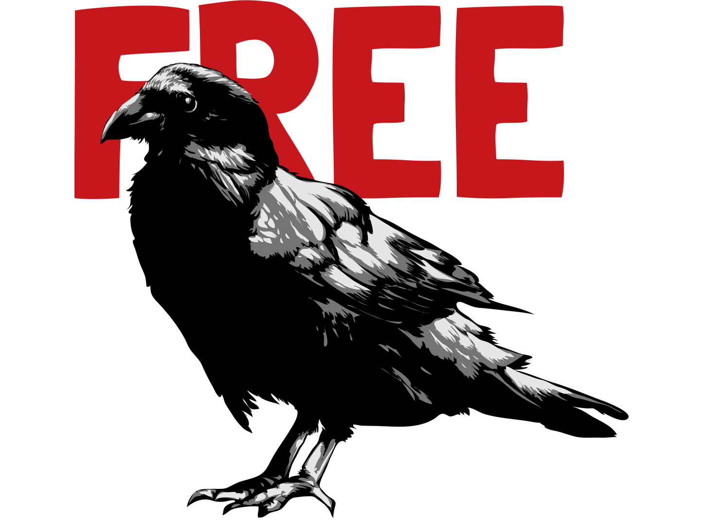Free bird, Press-ready, Transfer only, MTO