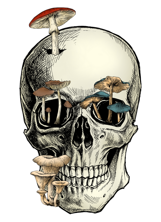 skull, heat transfer, press and peel